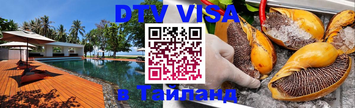 Сколько стоит DTV виза — актуальные цены, оформление даже без документов - Ашхабад  21.11.2025 